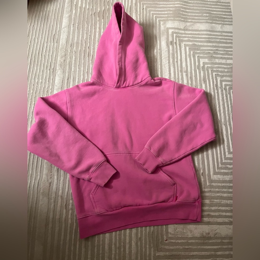 TNA aritzia hoodie
